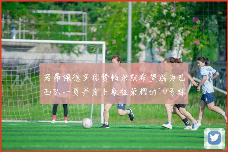 若昂佩德罗称赞帕尔默希望成为巴西队一员并穿上象征荣耀的10号球衣